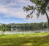 Odessa Florida Lakefront Community