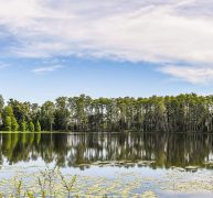 Luxury Custom Homes in Odessa Florida