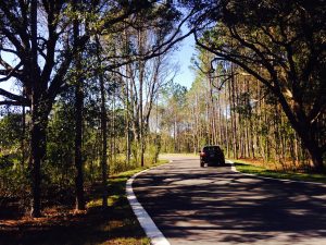 Oak Reserve in Lutz Florida - Custom Homes