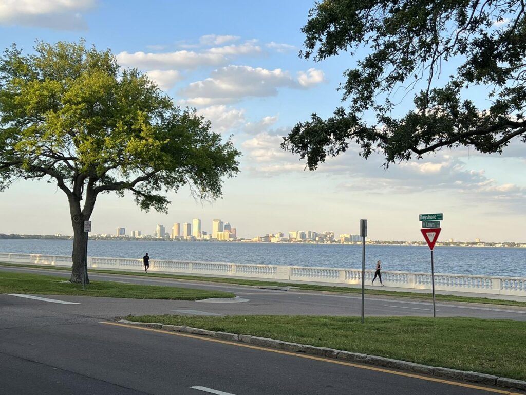 Person jogging along a lakeside promenade with a city skyline in the distance and trees framing the scene by the water.